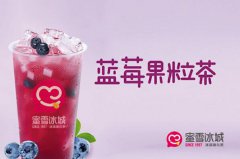一家蜜雪冰城加盟店每年能赚多少钱？蜜雪冰城加盟品牌利润分析！